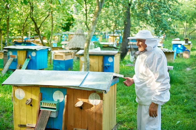 Zdjęcie starszy pszczelarz pracuje przy jego pasieką