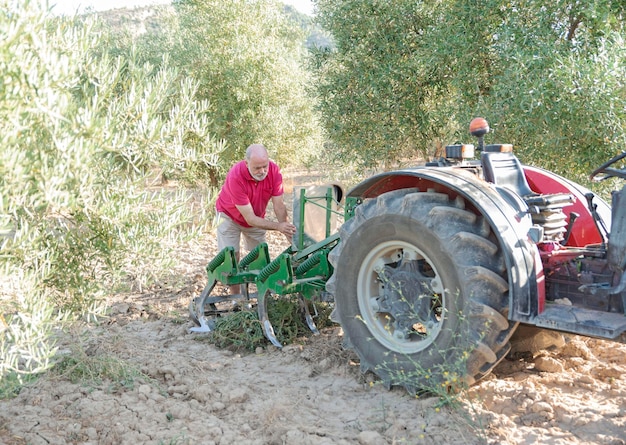 Starszy rolnik oczyszczający gaj oliwny traktorem