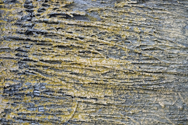 stary brudny betonowy grunge tekstury abstrakta tło