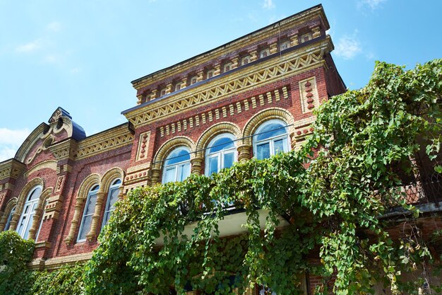 Stary dom z oknami i krętymi winoroślami