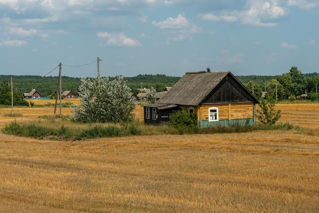 Stary drewniany dom na środku pola pszenicy we wsi Ekologicznie czyste miejsce do wygodnego życia i uprawy zbóż