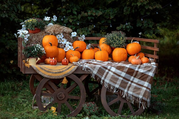 Stary drewniany wózek wypełniony dyniami i tykwami Jesienne dekoracje na Halloween i Święto Dziękczynienia