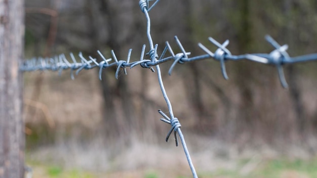 Zdjęcie stary drut kolczasty na tle jesiennego lasu drut kolczasty pokryty rdzą