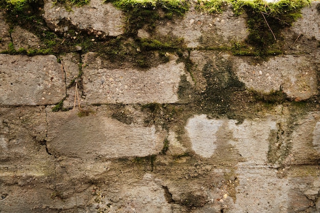 Stary kamienny mur porośnięty zielonym mchem