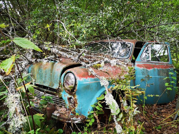 Stary opuszczony samochód na polu.