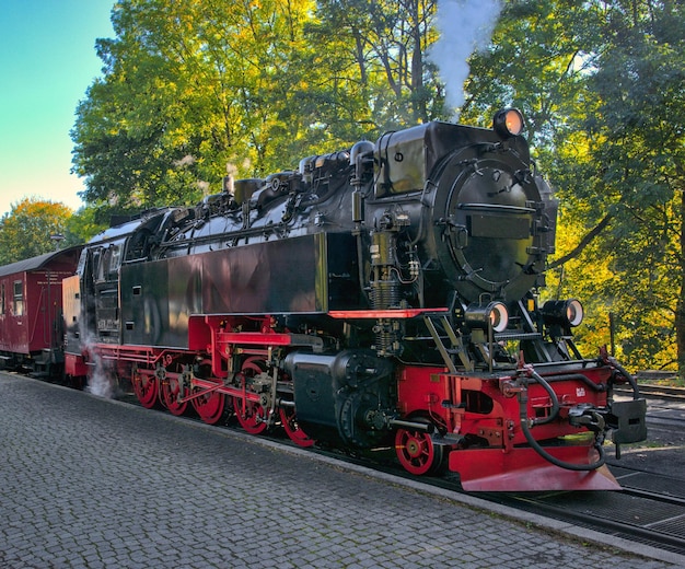 Stary pociąg parowy w górach Harz w Niemczech