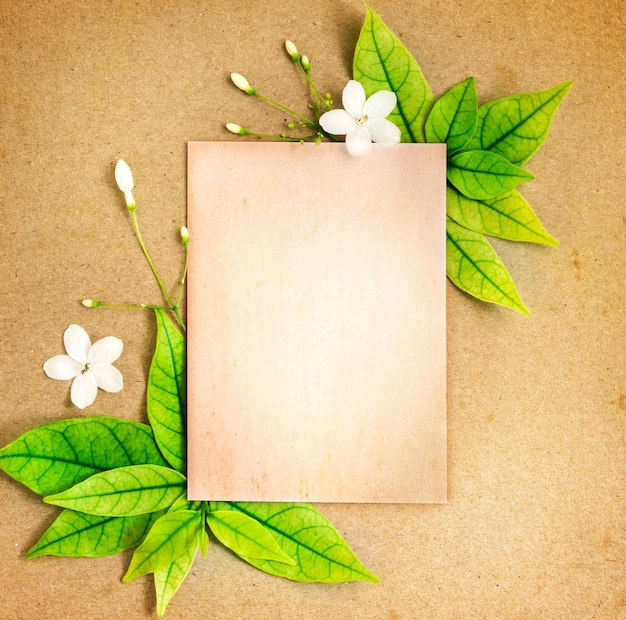 Zdjęcie stary pusty arkusz papieru z ramą granicy świeżej wiosny zielone liście