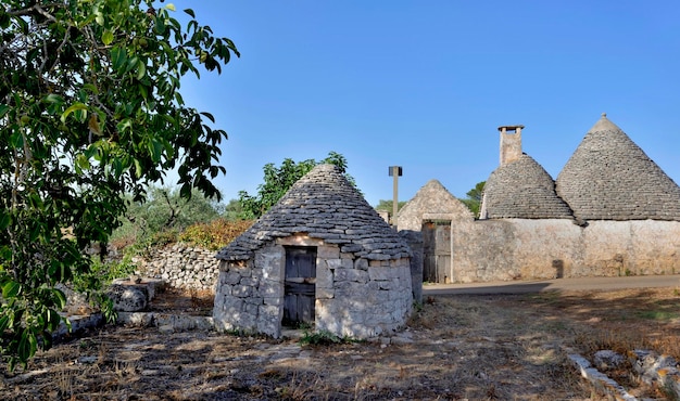 Stary tradycyjny dom trulli z kamienia i ze stożkowym dachem w południowych Włoszech w Puglia