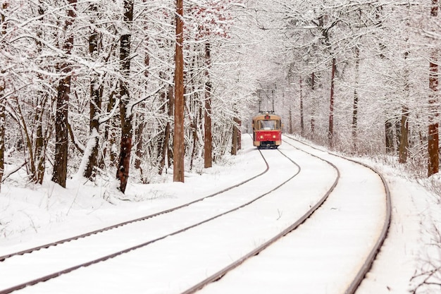 Stary tramwaj jadący przez zimowy las