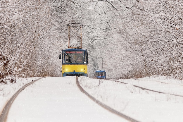 Stary tramwaj jadący przez zimowy las