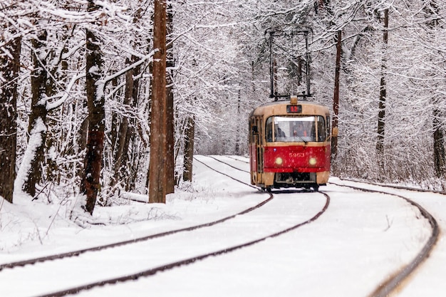 Zdjęcie stary tramwaj jadący przez zimowy las