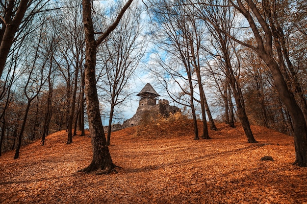 Stary zamek w lesie jesienią. Ukraina, Europa