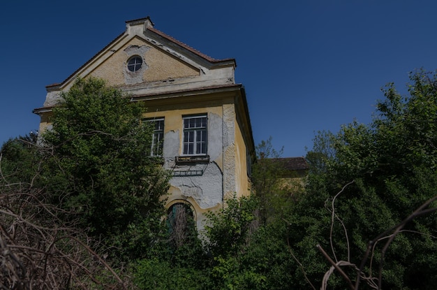 Stary zarośnięty dom