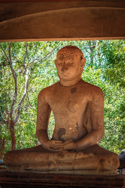 Zdjęcie statua buddy samadhi w anuradhapurze słynnej atrakcji turystycznej i stanowiska archeologicznego na sri lance