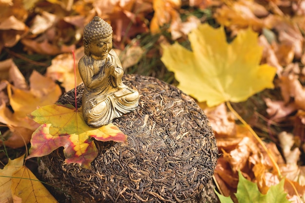 Statuetka Buddy na tle jesiennych liści Surowa chińska herbata prasowana Puerh