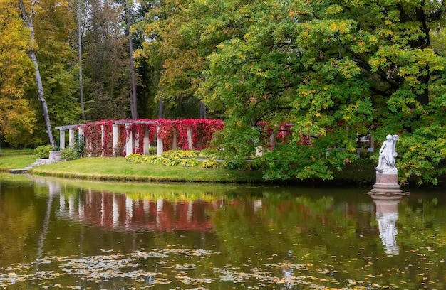 Staw Chiński W Parku Królewskiej Rezydencji Oranienbauma Sankt Petersburg Rosja