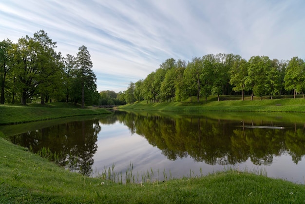 Staw Karpin w Gatchinsky Park w słoneczny letni dzień Gatchina Leningrad region Rosja