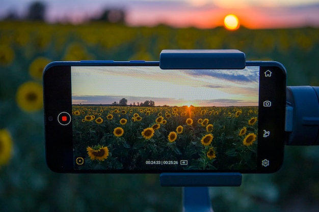 Steadicam do telefonu, który strzela słonecznikami