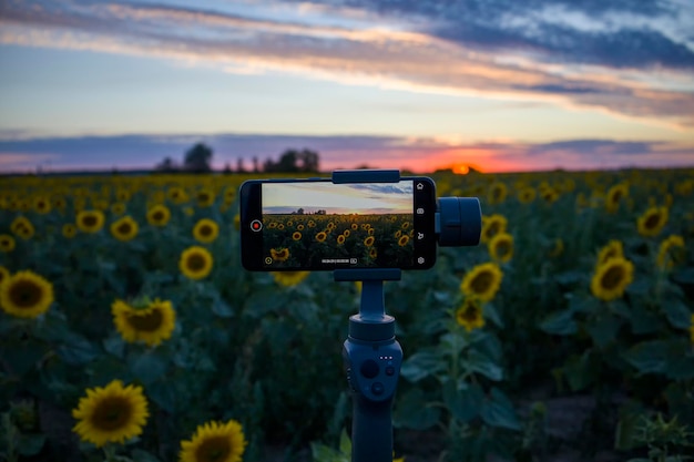 Steadicam do telefonu, który strzela słonecznikami