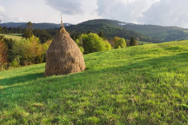 Stóg siana na trawiastym wiejskim polu w górach piękny wiejski krajobraz z zalesionymi wzgórzami w piękny letni dzień