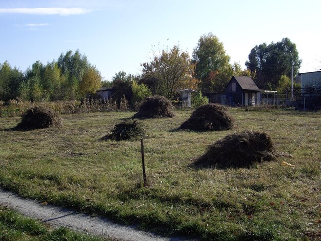 Zdjęcie stoki siana w wiosce i ogrodzie