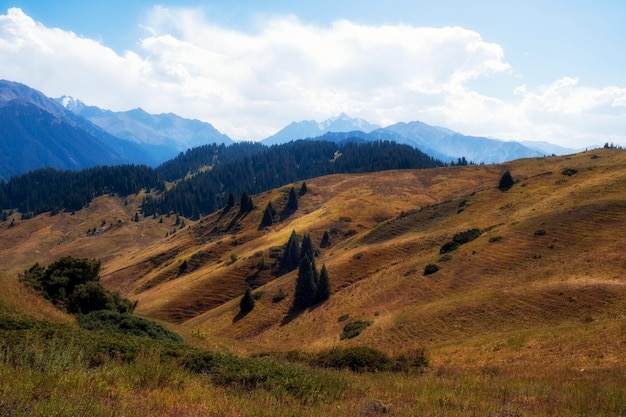 Zdjęcie stone aktas plateau w górach jesiennych kazachstanu w pobliżu miasta almaty trans ili alatau w systemie górskim tien shan