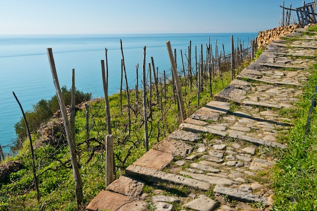 Stone Track Seaview