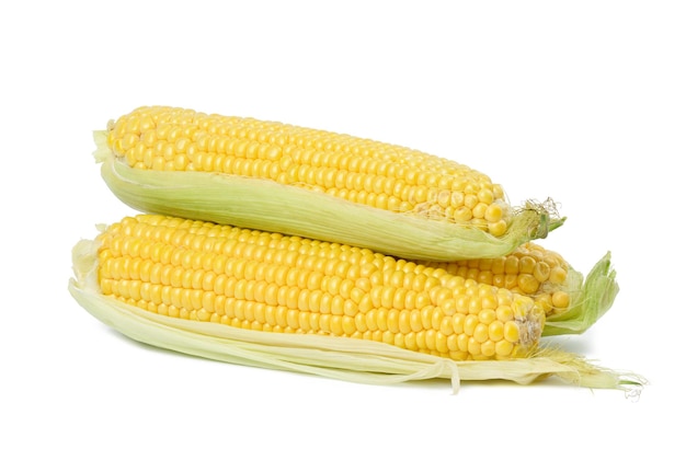 Stos kolb kukurydzy z żółtymi ziarnami na białym tle