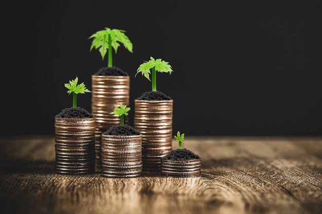Stos monet ułożony jest w formie wykresu z drzewami rosnącymi dla pomysłów oszczędzania pieniędzy i ubezpieczenia planowania finansowego.