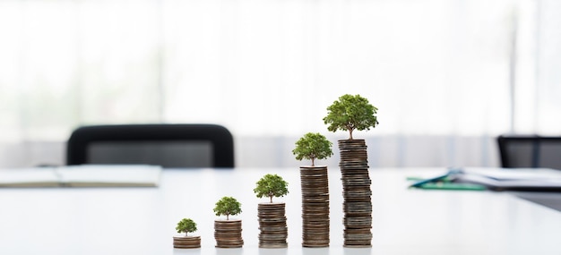 Zdjęcie stos monet wzrostu z drzewem na szczycie symbolizuje zielone inwestycje biznesowe w csr lub esg na rzecz ochrony środowiska ludzie biznesu planujący finanse w celu archiwizacji zerowego zrównoważonego rozwoju netto sprytny