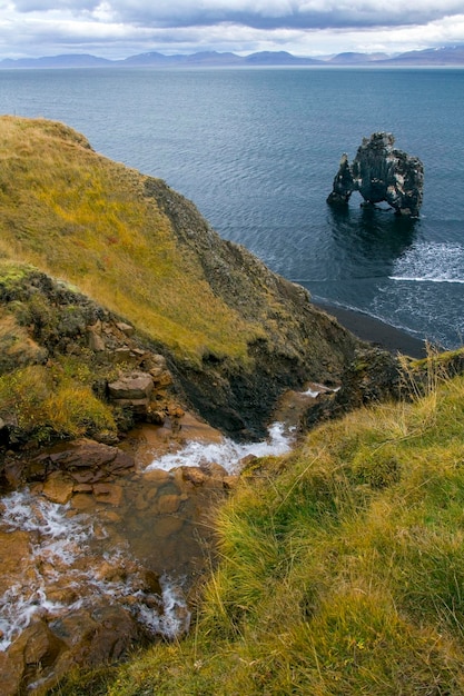 Stos morski Hvitserkur i łuki Islandia