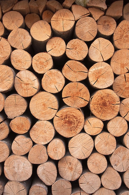 Stos posiekanego drewna z biomasy