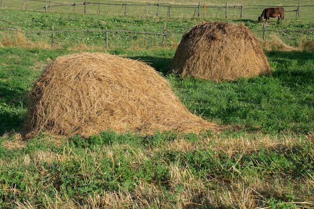 Stos siana na widok pola