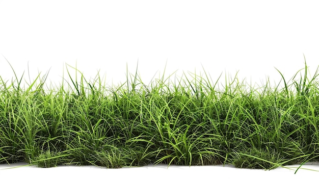 stos trawy z białym tłem