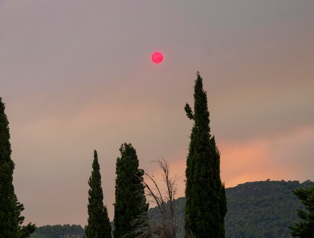 Straszne słońce w dymie z pożarów w Grecji na wyspie Evia
