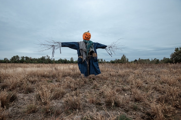 Straszny strach na wróble z głową dyni halloween w polu w pochmurną pogodę.