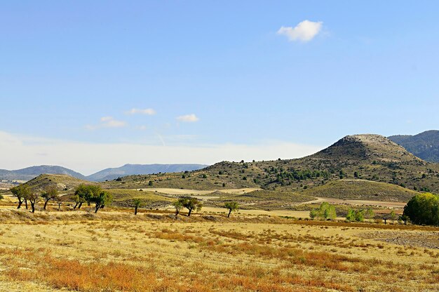 Strażnica Cerro de la trumpeta huescar granada