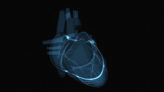 Streszczenie ilustracja serca w xray