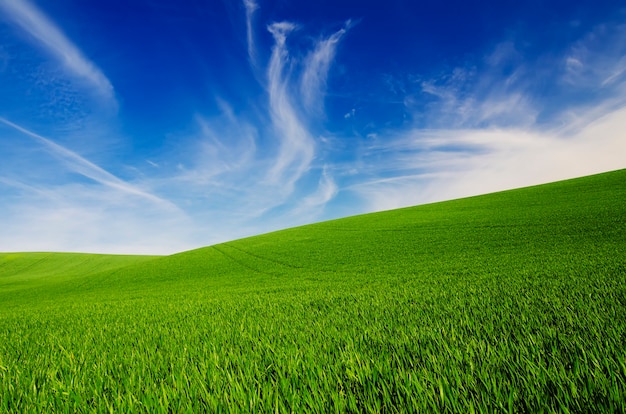 Streszczenie naturalne idylliczne tło z zieloną trawą i pochmurnym niebieskim niebem