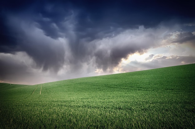 Streszczenie naturalne tło z zieloną trawą i pochmurną, dramatyczną czernią