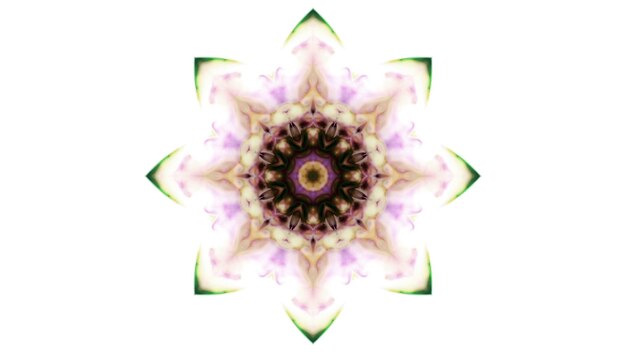 Zdjęcie streszczenie pędzel atrament eksplodować rozprzestrzenianie gładka koncepcja symetryczny wzór ozdobne dekoracyjne kalejdoskop ruch geometryczne koło i kształty gwiazdy