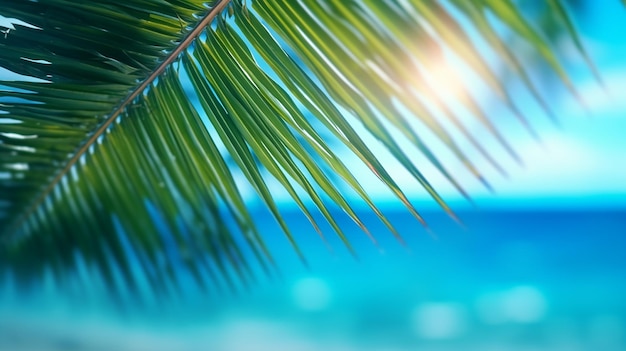 streszczenie tło letniej plaży z liśćmi palmowymi niewyraźne z miejsca na tekst