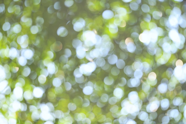 Zdjęcie streszczenie zamazana zielona natura na tle zieleni sezonowej w świetle dziennym