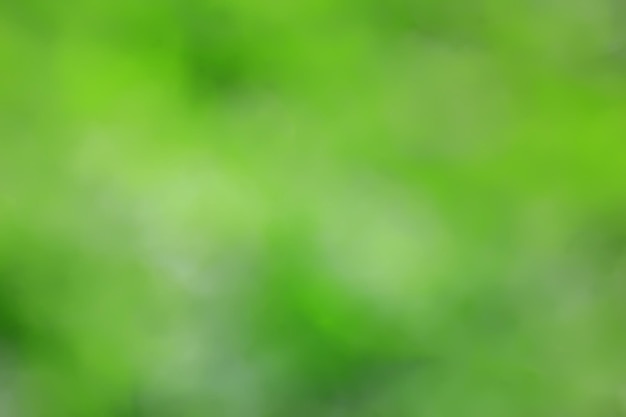 streszczenie zielone letnie tło bokeh, gradientowy widok sztuki tekstury blask