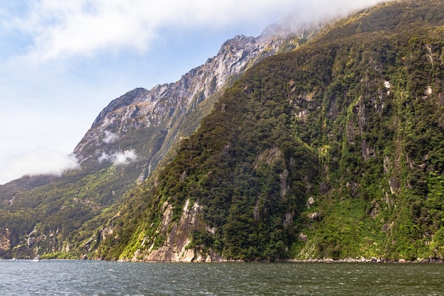 Strome klify porośnięte zielenią wzdłuż brzegów fiordu Wyspa Południowa Nowa Zelandia