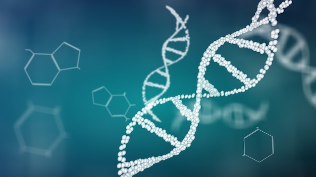 Struktura Animacji Podwójnej Helisy Dna, Koncepcja Molekularna I Biologiczna Dna