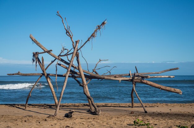 Struktura Driftwood na plaży Hanalei z surferem widocznym za drewnem