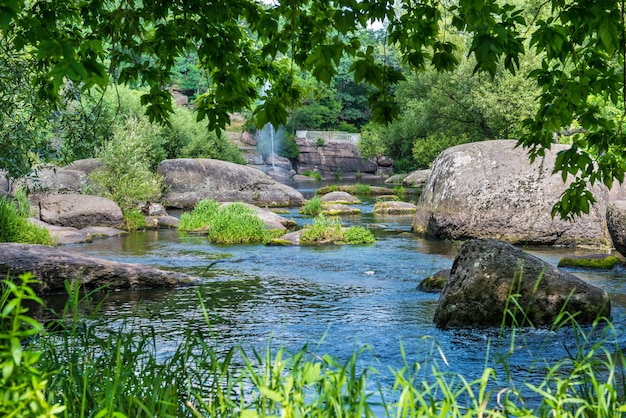 Strumień W Lesie Tropikalnym.