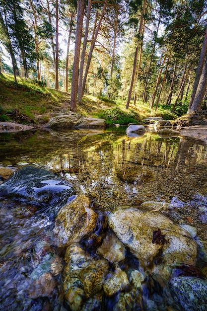 Strumień z przejrzystą wodą i refleksami drzew leśnych. Navacerrada.