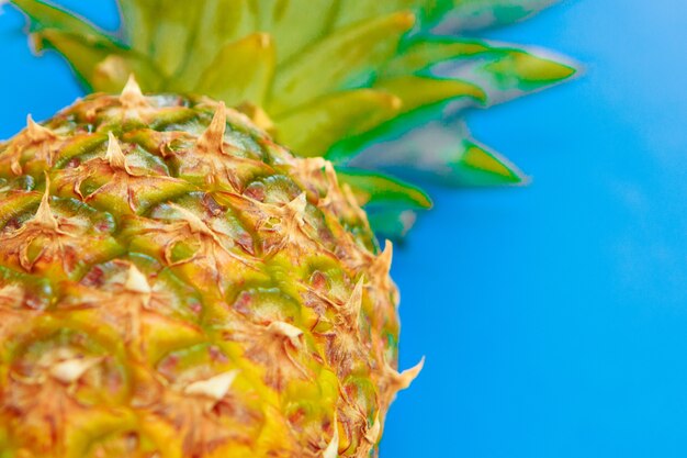 Strzał studio ananasa. owoce tropikalne są izolowane